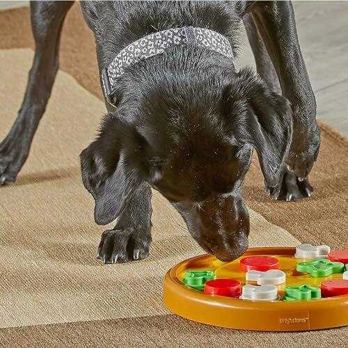 Dog Treat Puzzle T1142