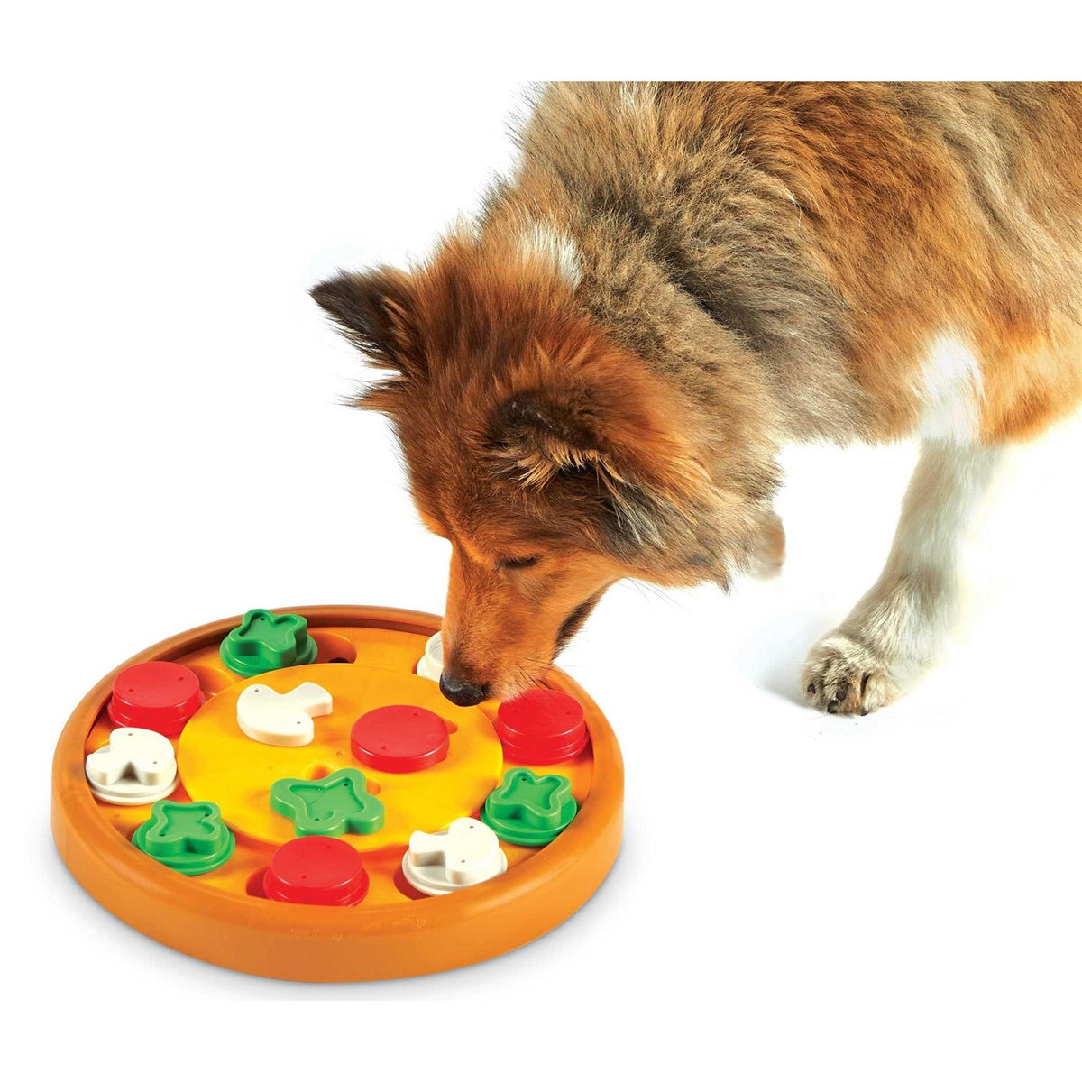 Dog Treat Puzzle T1142