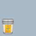 Exterior Paint (5-Gallon) Y332253