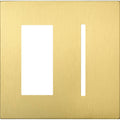 2 Gang Satin Brass Faceplate K592