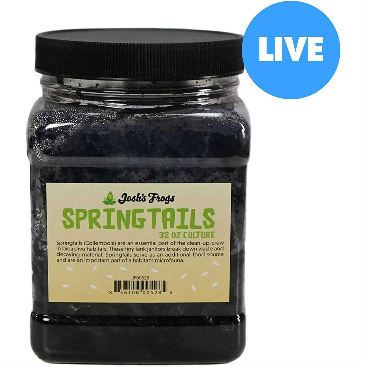 Springtail Culture X1286