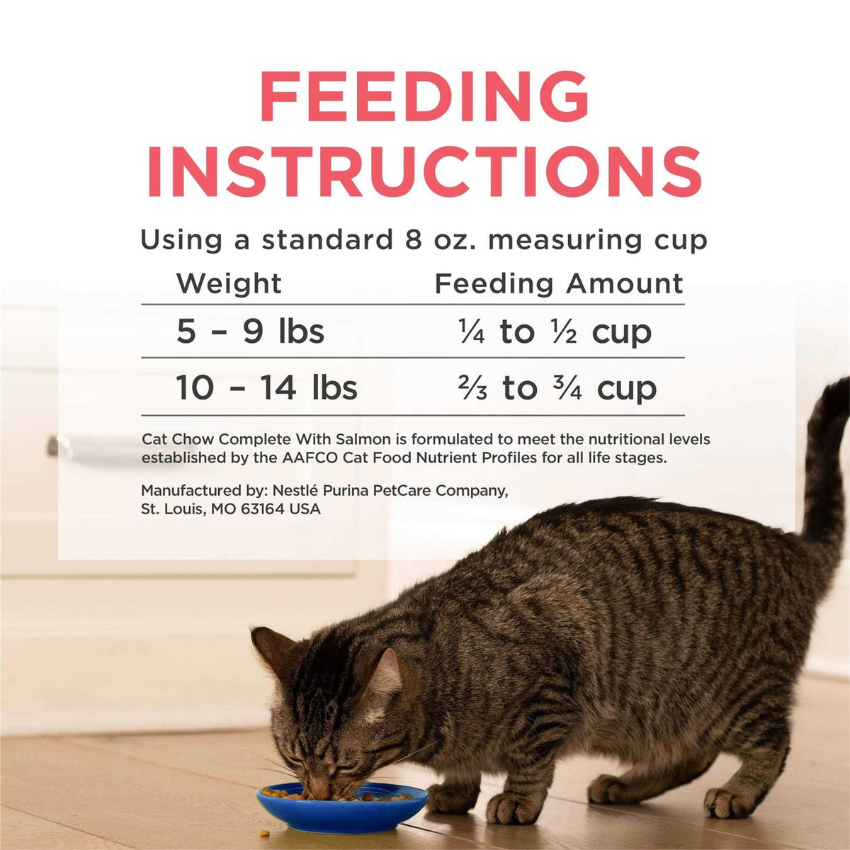 Salmon High Protein Dry Cat Food Z3097
