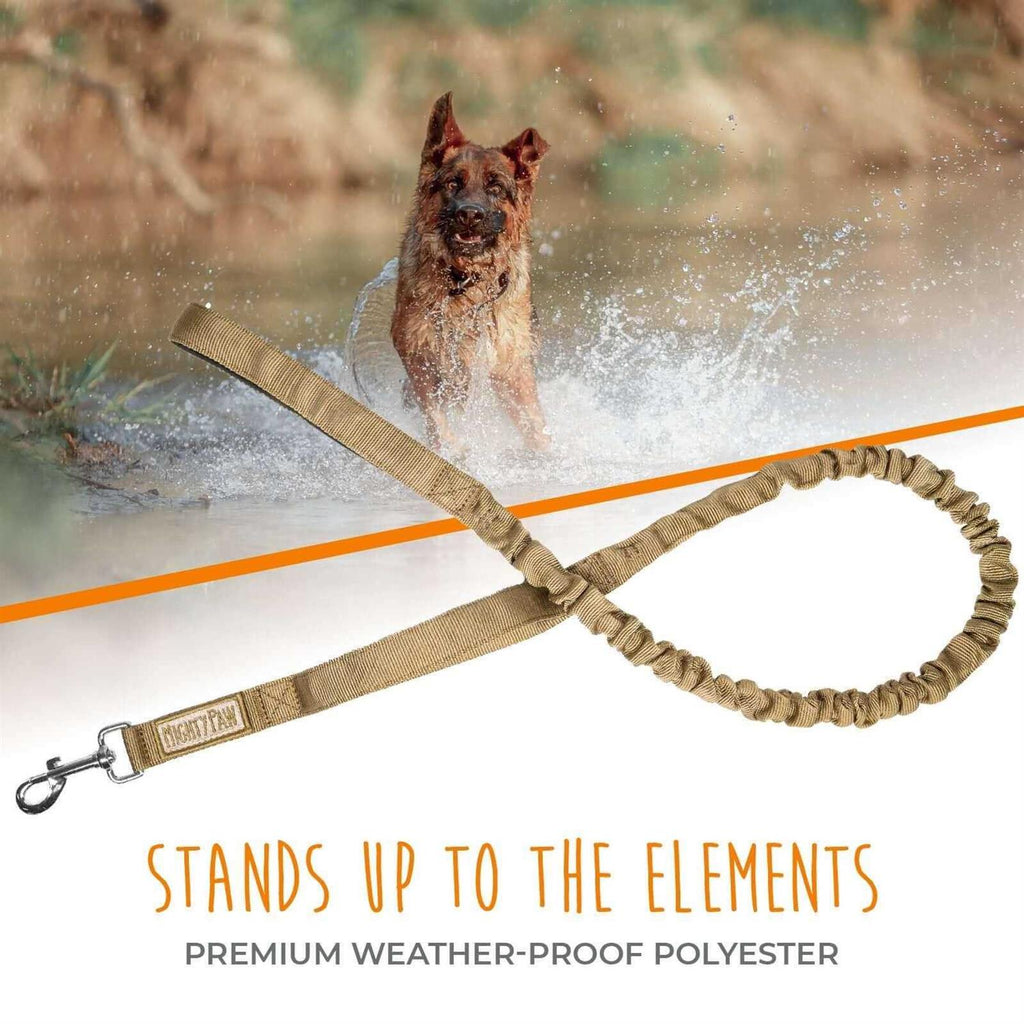 Dual Handle Dog Leash P29043