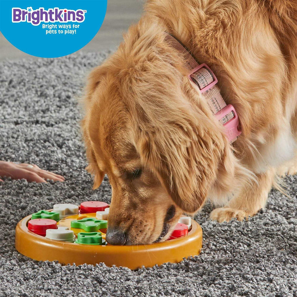 Dog Treat Puzzle T1142