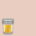 Satin Exterior Paint 5-Gallon L407