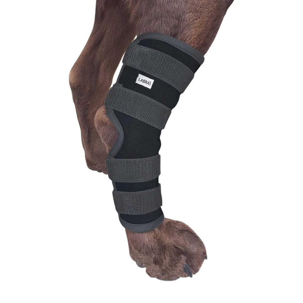 Dog Rear Leg Hock Joint Compression Wrap W683