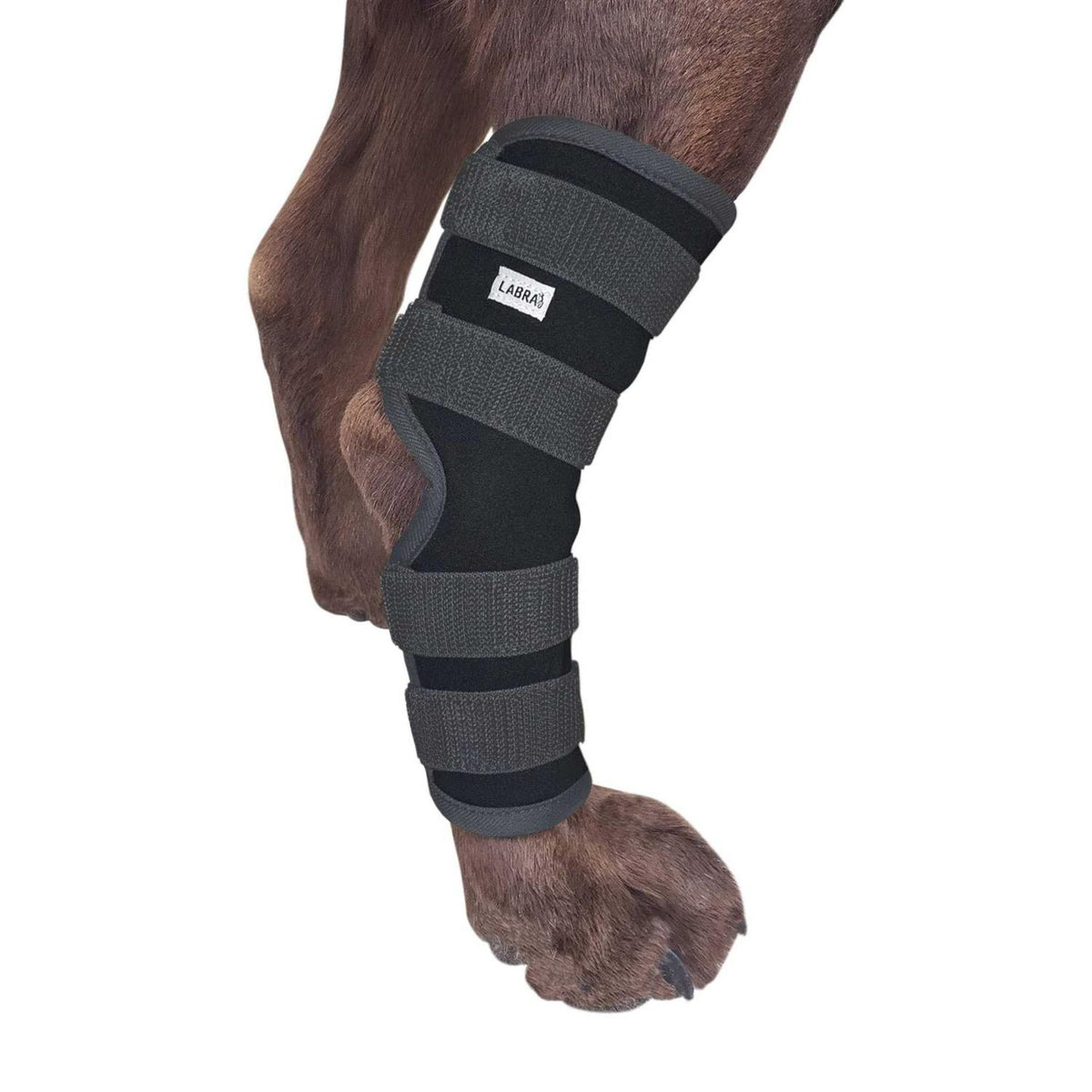 Dog Rear Leg Hock Joint Compression Wrap W683