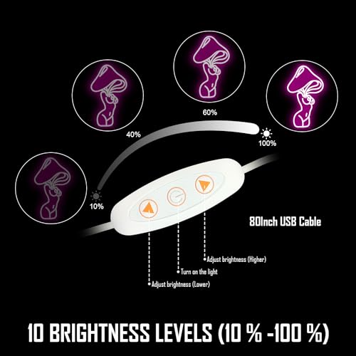 Dimmable LED Neon Sign M6371