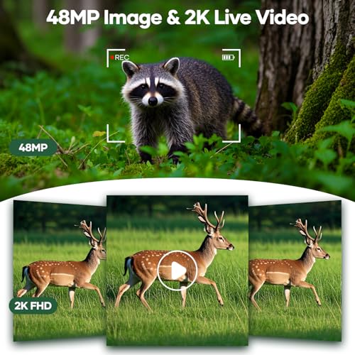 48MP WiFi Bluetooth Night Vision Game Camera with 32GB Micro SD Card Y6633