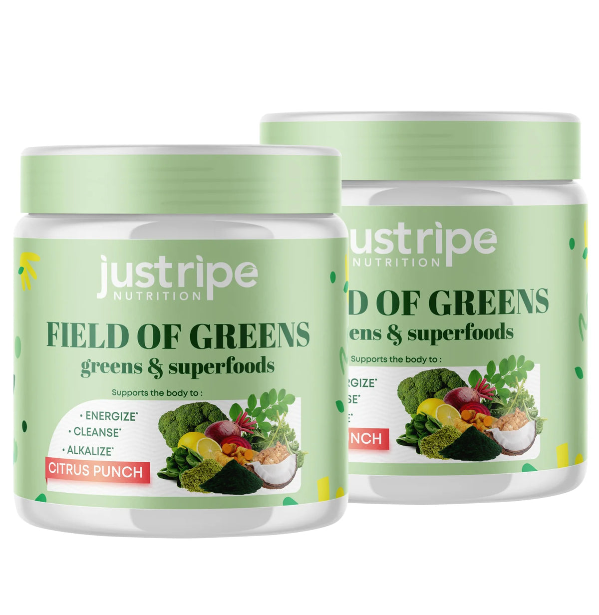 Organic Superfood Powder Blend J406