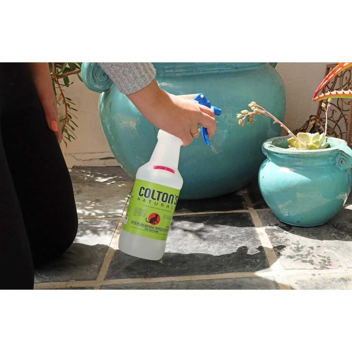 Cat Repellent Outdoor Spray Indoor 32 OZ Organic & Natural Z8451