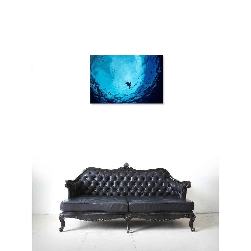 Blue Green Sea Turtle Canvas Art B229