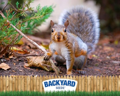 8 lb Squirrel & Chipmunk Food Mix with Sunflower Seeds, Peanuts & Corn J223751