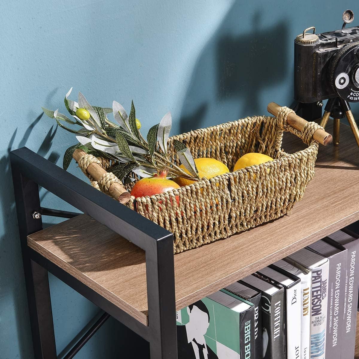Industrial Style 2 Tier Bookshelf Storage Rack X10465