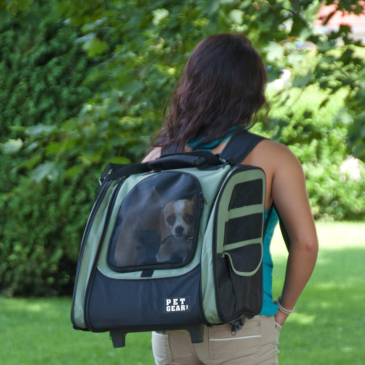 Ocean Blue Pet Carrier L1936