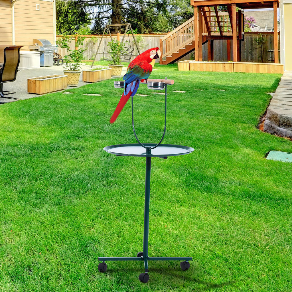 49" Rolling Bird Training Activity Playground With Perch Q67394