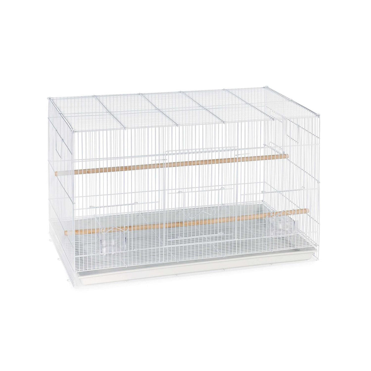 Bird Cage Q404