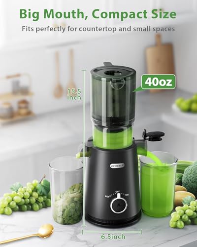 4.35" Hands Free Cold Press Juicer Q987537