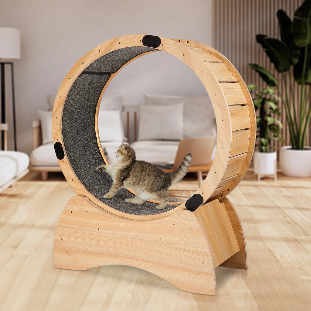 Cat Exercise Wheel P881