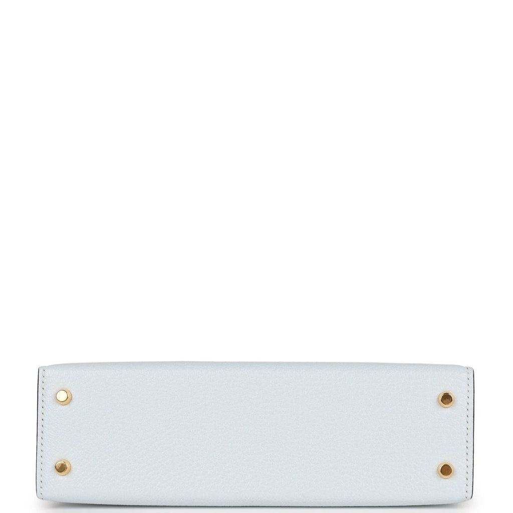 Bleu Brume Chevre Bag F37577