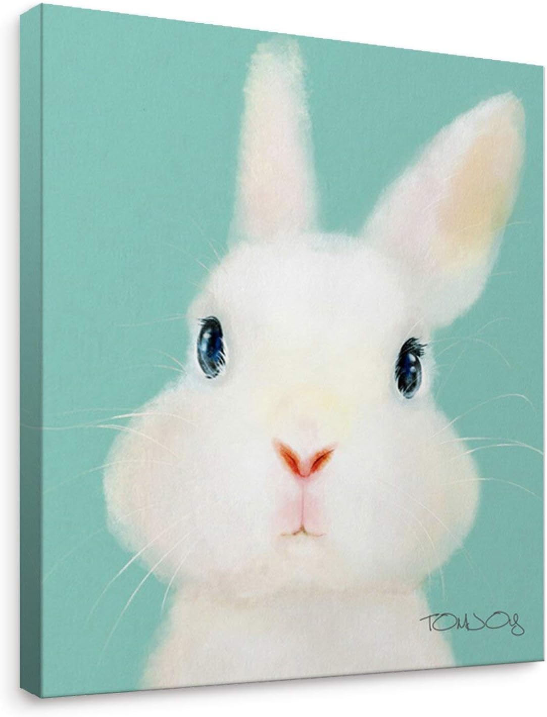 Framed Canvas Wall Art T768