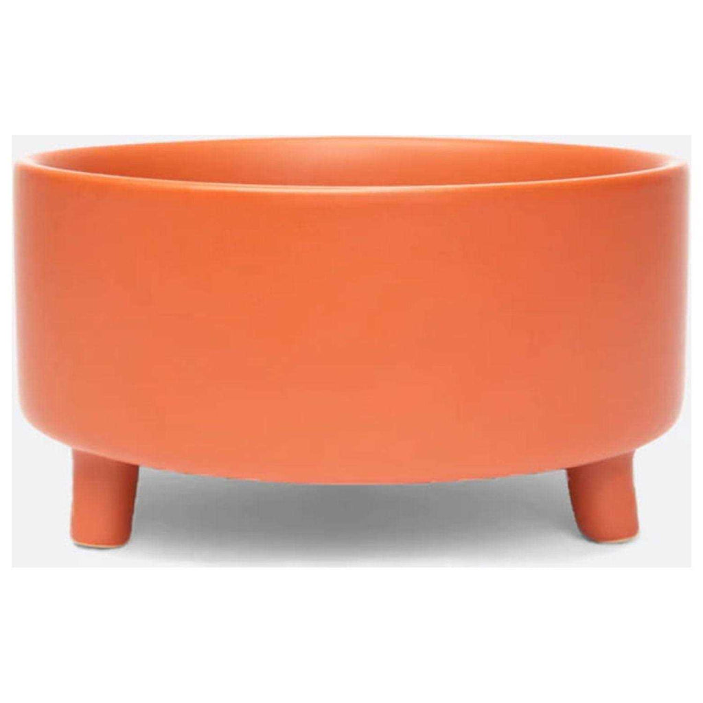 Ceramic Dog Bowl W230149