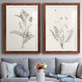 Maple Framed Paper Print N97138