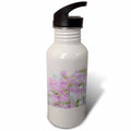 21 oz Sports Water Bottle O55242