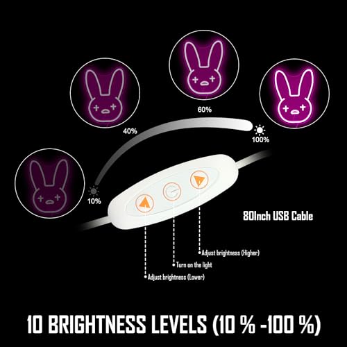 Dimmable LED Neon Sign M6371