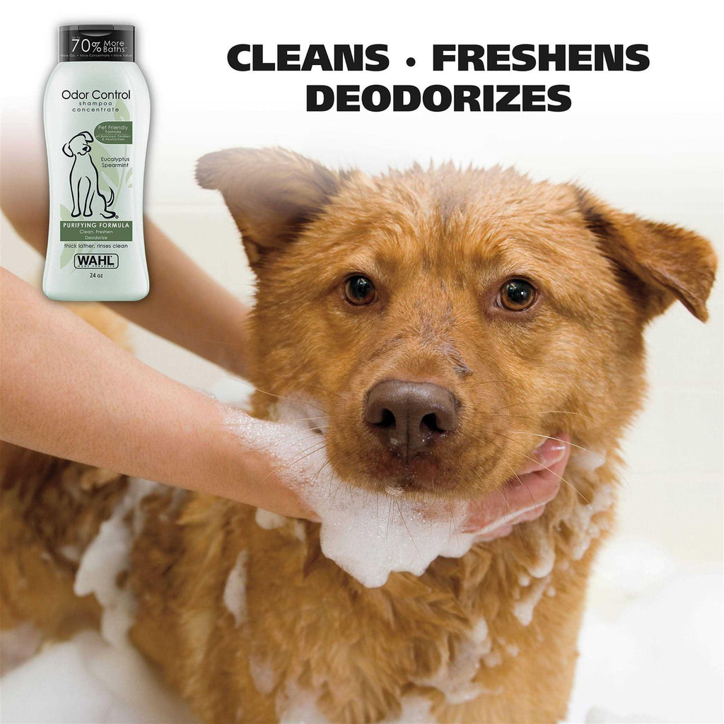 Odor Control Shampoo F3956
