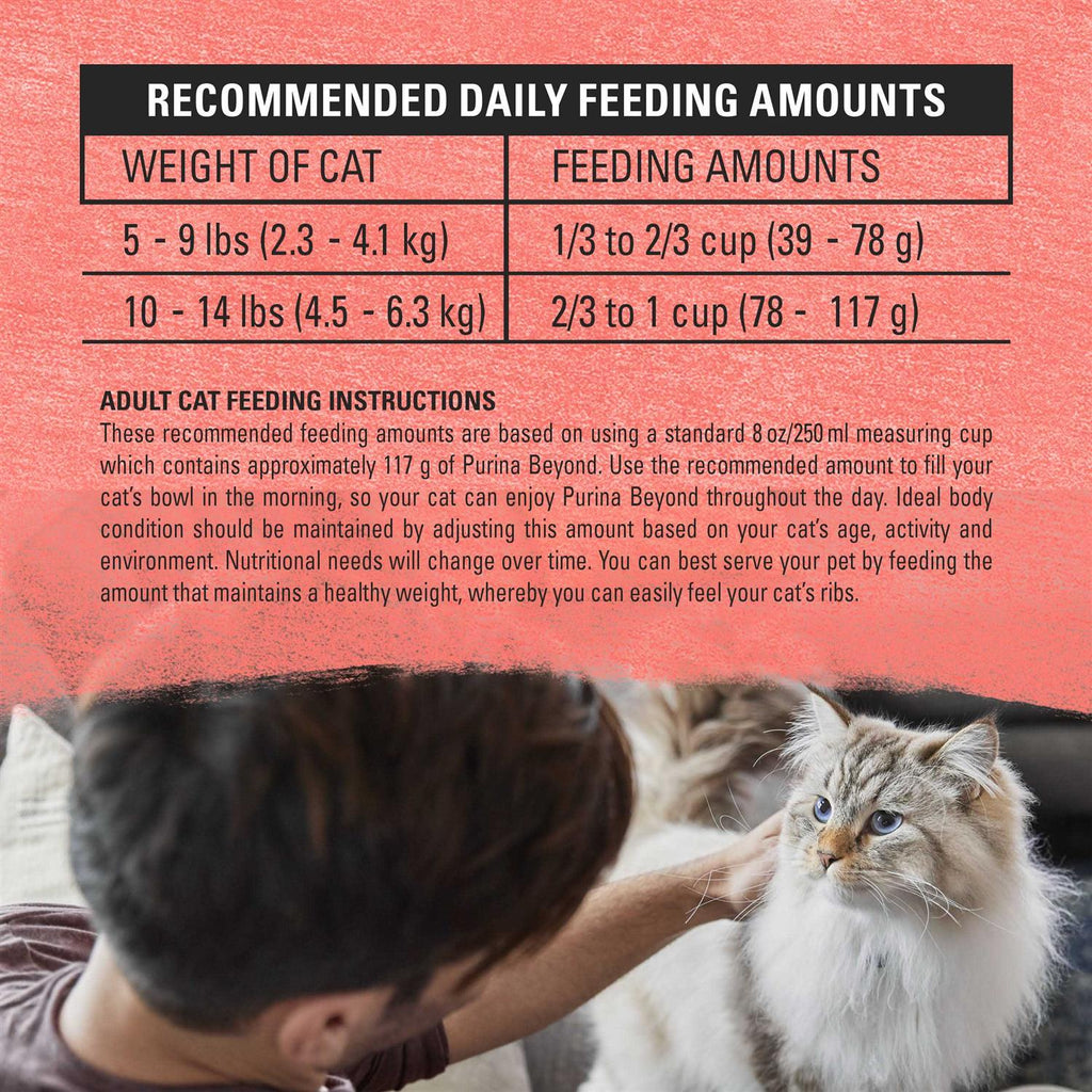 Cat Dry Food T20109