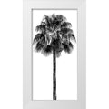 White Modern Wood Framed Museum Art Print D8308