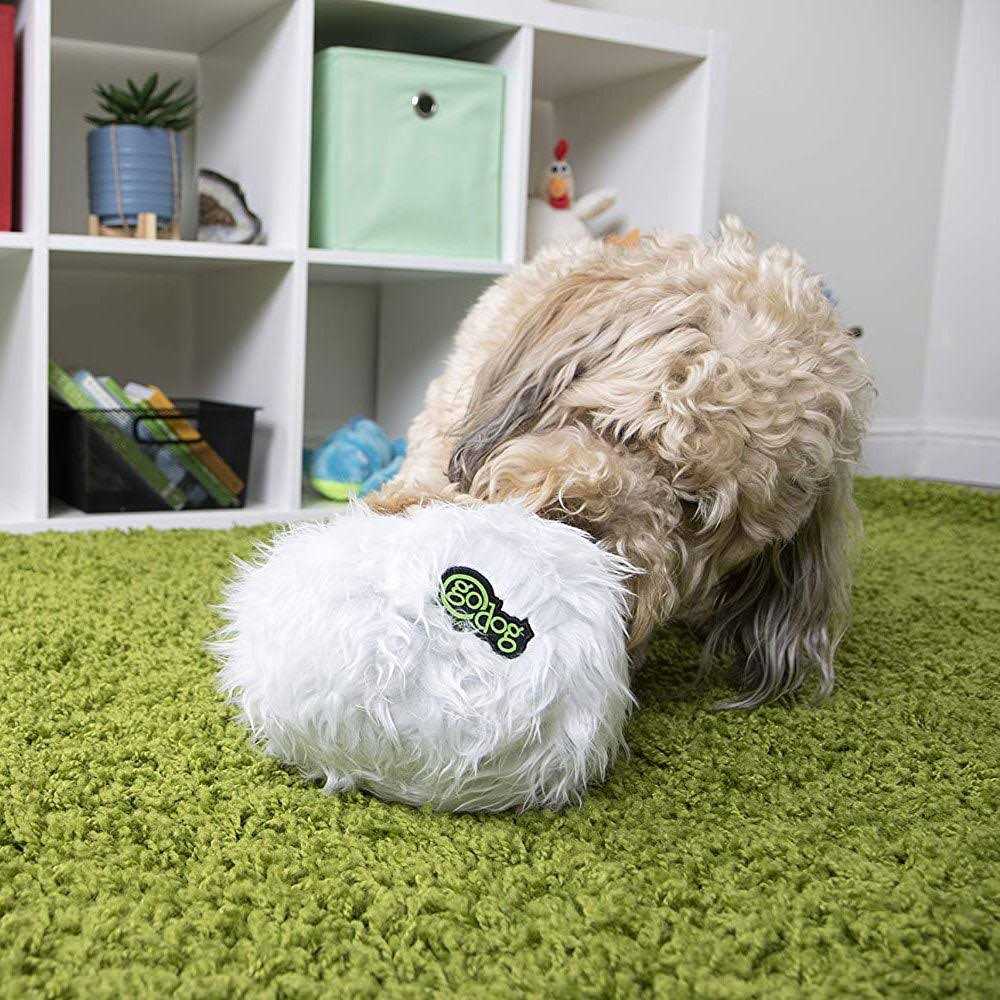Dog Toy D42598