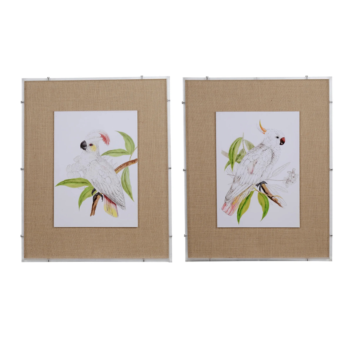 Watercolor Framed Wall Art 30" x 24" Brown and White 2ct J1231