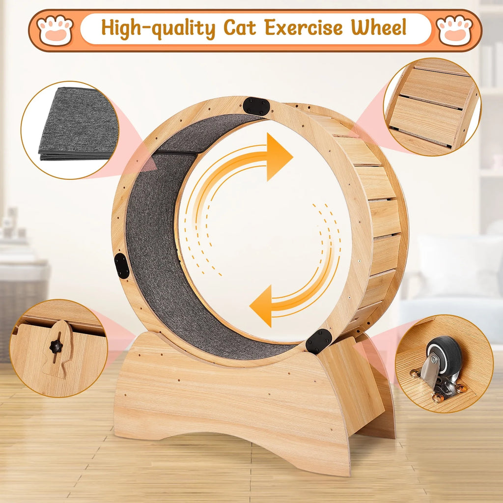 Cat Exercise Wheel P881