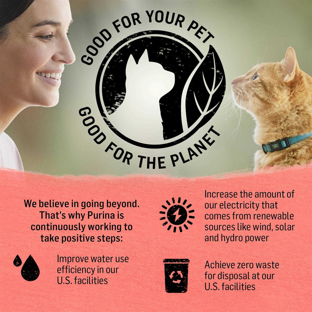 Cat Dry Food T20109