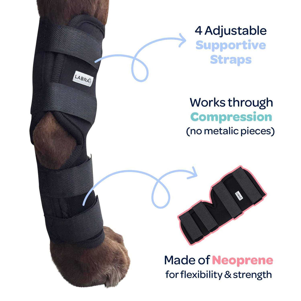 Dog Rear Leg Hock Joint Compression Wrap W683