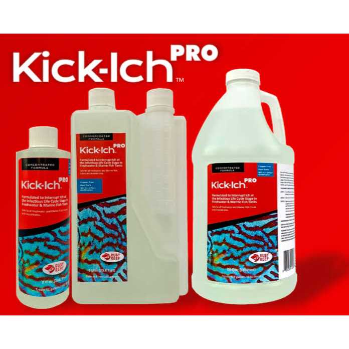 Ruby Reef Kick Ich Pro B4956