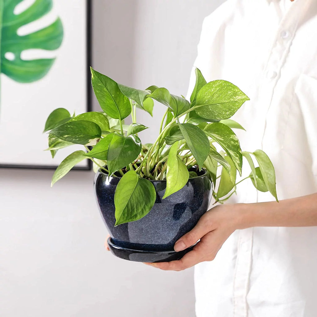 6.5 Inch Ceramic Plant Pot with Drainage Hole and Saucer A867