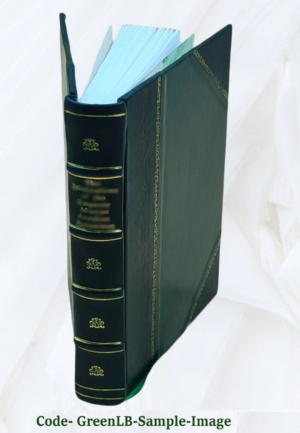 Statistics and Landeskunde Leather Bound O339