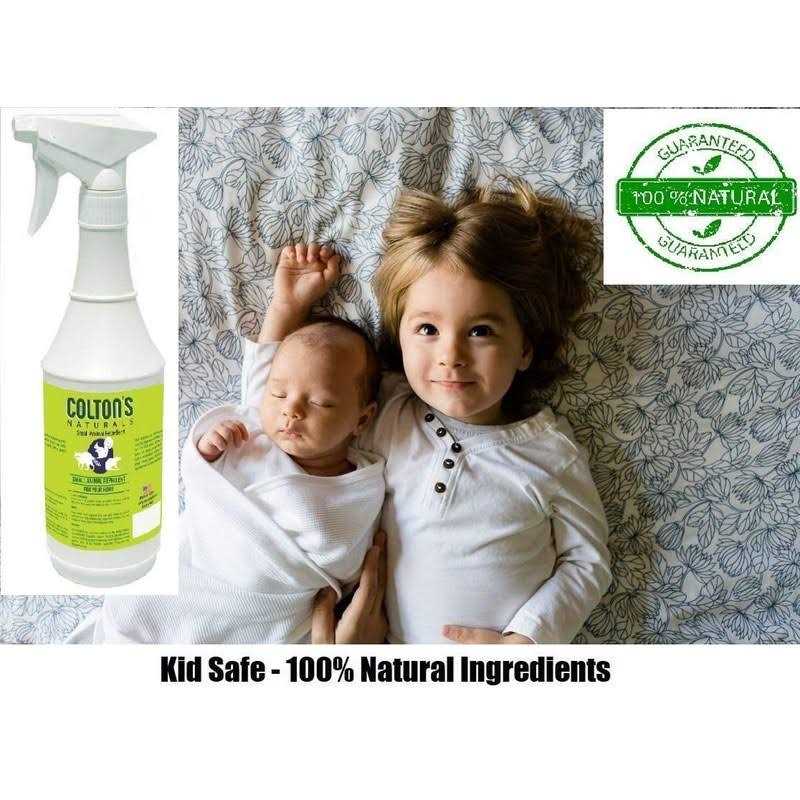 Cat Repellent Outdoor Spray Indoor 32 OZ Organic & Natural Z8451